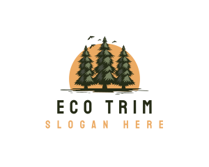 Eco Pine Tree  logo design