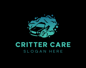 Auto Wash Car Care logo design