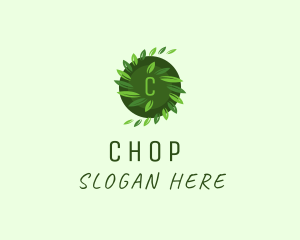 Eco Friendly - Herbal Leaf Spa logo design
