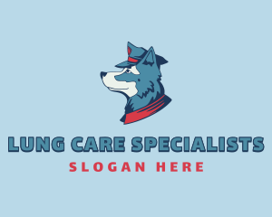 Pilot Dog Care Veterinary logo design