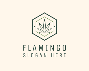 Hexagon Marijuana Badge logo design