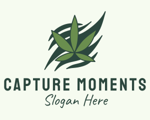 Green Cannabis Marijuana Leaf  Logo