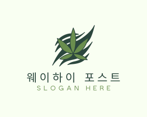 Green Cannabis Marijuana Leaf  logo design