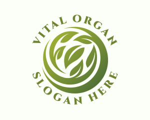 Eco Organic Leaves logo design