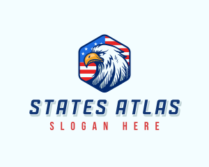 Patriotic Eagle Flag logo design