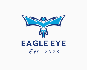 Modern Flight Eagle logo design