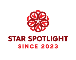 Star Flower Lantern logo design