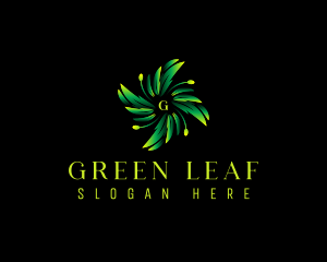 Leaves Plant Boutique logo design