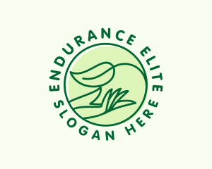 Organic Hand Spa logo design