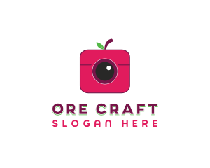 Berry Instagram Camera logo design