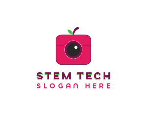 Berry Instagram Camera logo design