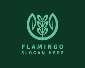 Eco Botanical Farming Logo