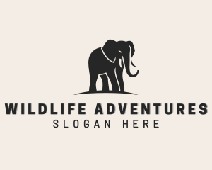 Wildlife Elephant Animal logo design