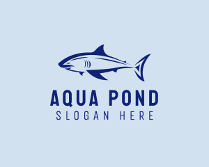 Shark Aqua Park logo design