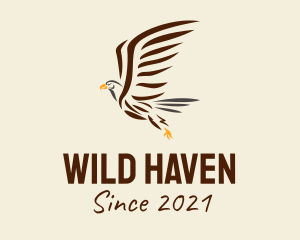 Wild Eagle Bird  logo design