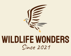 Zoology - Wild Eagle Bird logo design