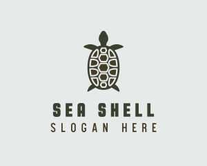 Sea Turtle Wildlife logo design