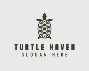 Sea Turtle Wildlife logo design