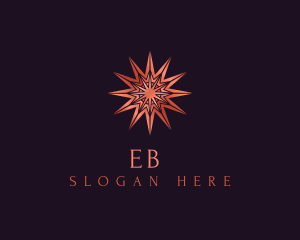 Elegant Star Mandala Logo