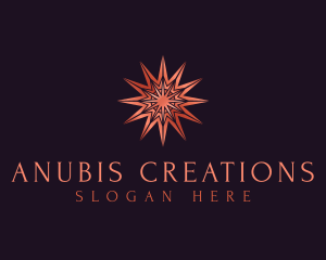 Elegant Star Mandala logo design