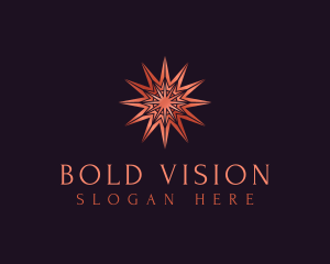 Elegant Star Mandala logo design