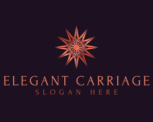 Elegant Star Mandala logo design