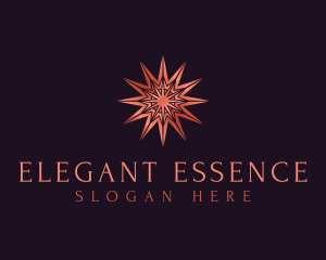 Elegant Star Mandala logo design