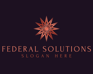 Elegant Star Mandala logo design