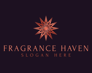 Elegant Star Mandala logo design