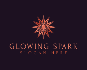 Elegant Star Mandala logo design