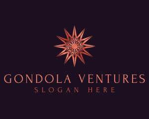 Elegant Star Mandala logo design