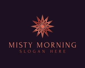 Elegant Star Mandala logo design