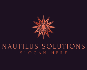 Elegant Star Mandala logo design