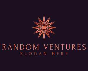 Elegant Star Mandala logo design