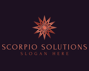 Elegant Star Mandala logo design