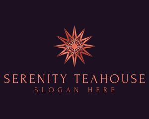 Elegant Star Mandala logo design