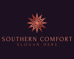 Elegant Star Mandala logo design