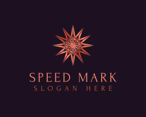 Elegant Star Mandala logo design