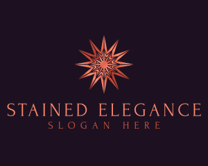 Elegant Star Mandala logo design