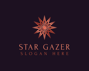 Elegant Star Mandala logo design