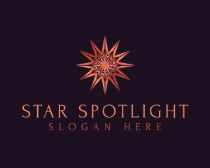 Elegant Star Mandala logo design