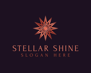 Elegant Star Mandala logo design