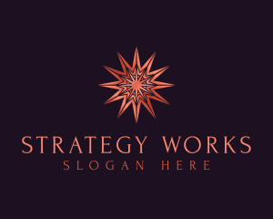 Elegant Star Mandala logo design