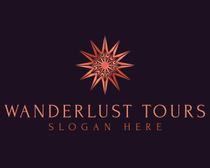 Elegant Star Mandala logo design