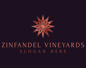 Elegant Star Mandala logo design