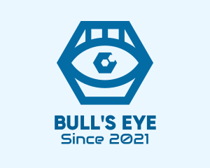 Blue Hexagon Eye  logo design