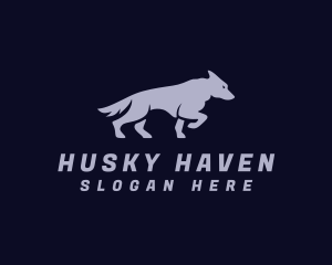 Husky - Wild Wolf Animal logo design