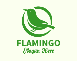 Bird Watching - Nature Bird Nest logo design