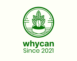 Coffee Farm - Coffee Bean Plant Badge logo design