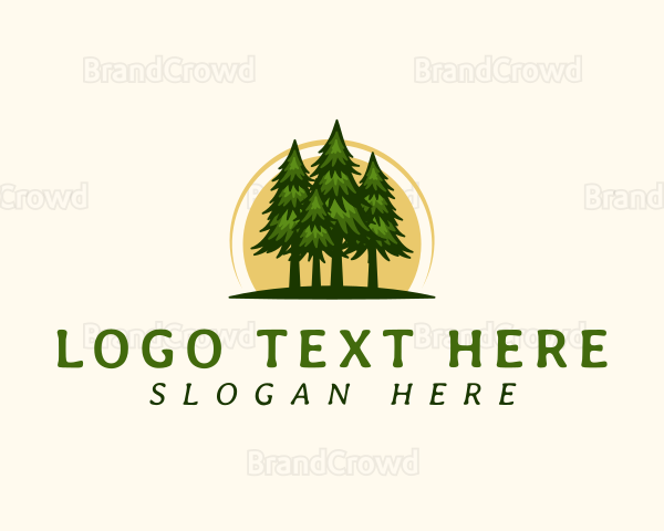 Nature Pine Tree Woods Logo